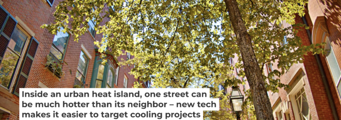 A tree canopy can make a big difference in temperature for people on the street below. The challenge is getting trees where they’re needed most. Andrey Denisyuk/Moment via Getty Images